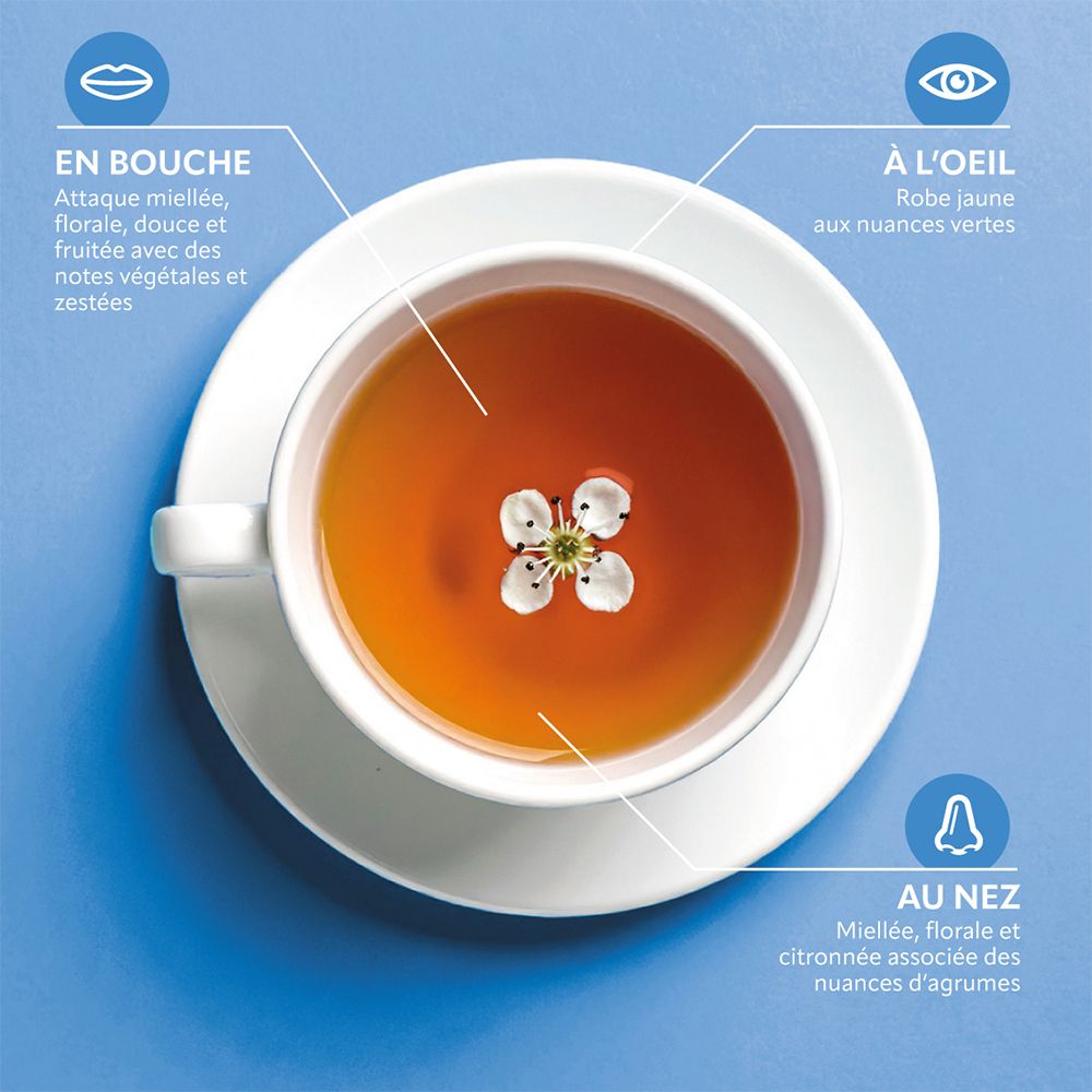 Tasse de thé sur soucoupe. Descriptions : goût, apparence, odeur. Arrière-plans bleus avec éléments floraux.