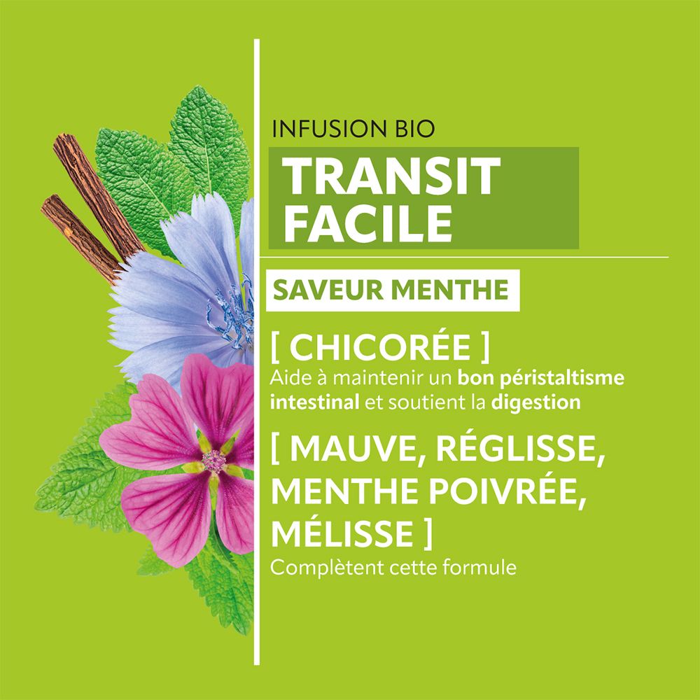 Fond vert avec texte « Infusion Bio Transit Facile ». Ingrédients : Chicorée, Mauve, Réglisse, Menthe poivrée, Mélisse.