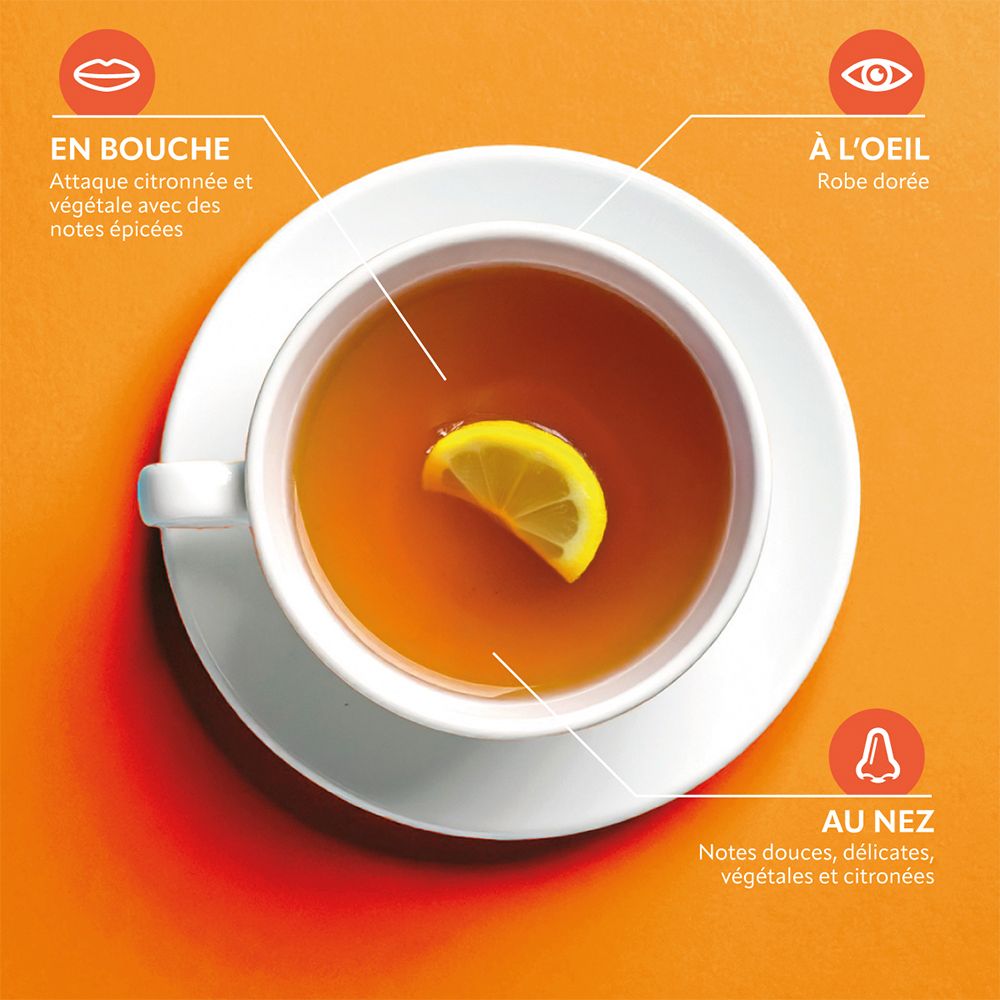 Tasse de thé avec citron. Descriptions : bouche, œil, nez. Arômes : citronné, épicé, délicat, végétal.