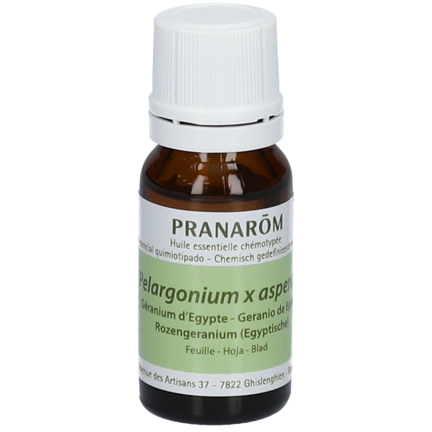 Pranarom huile essentielle Géranium d'Egypte (Pelargonium x asperum)