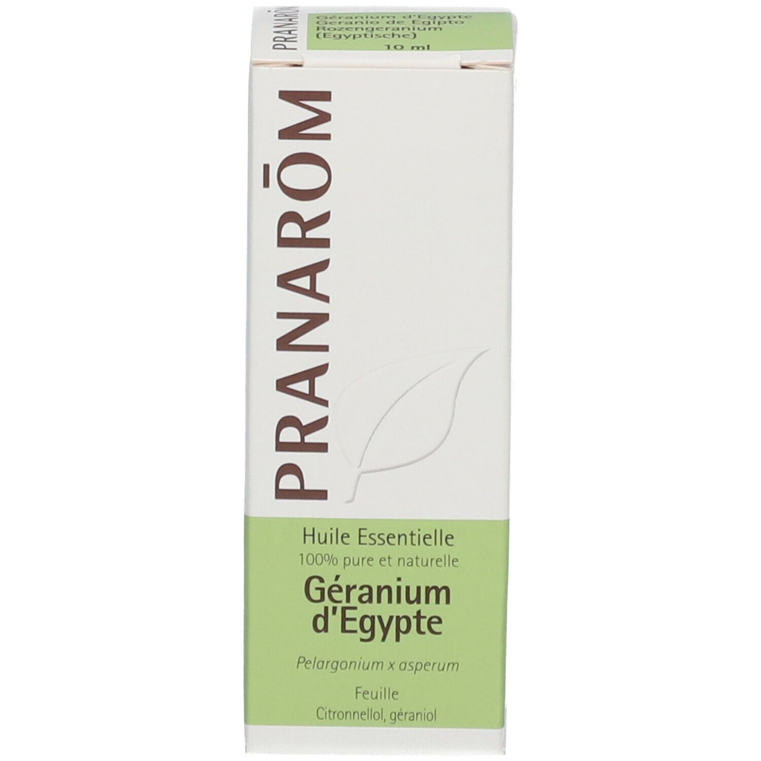 Pranarom huile essentielle Géranium d'Egypte (Pelargonium x asperum)