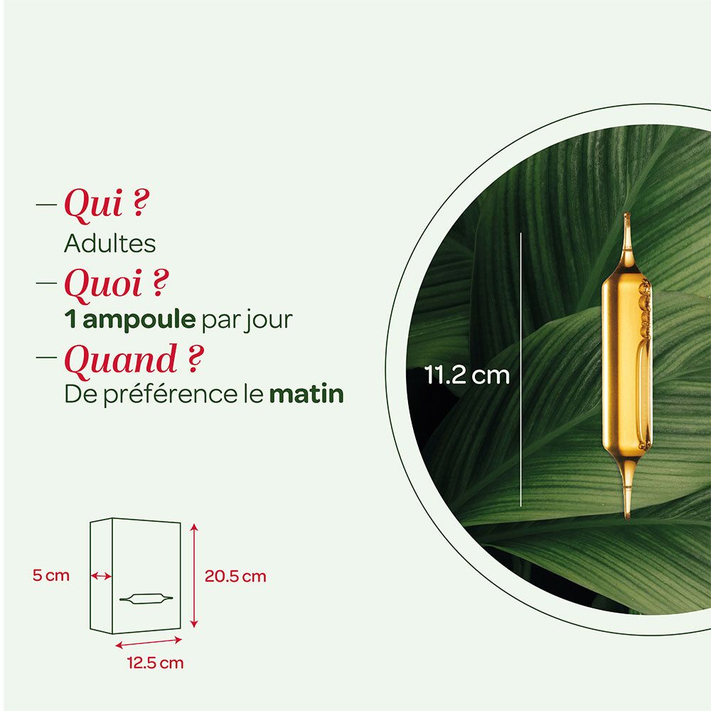 SUPERDIET Drainaflore Bio - 20 ampoules de 15 ml