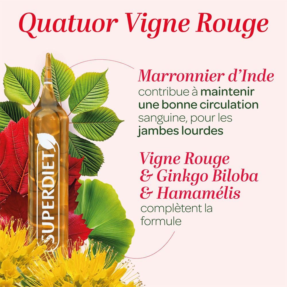 Visuel promotionnel pour Super Diet. Ampoule avec ingrédients. Texte : Quatuor Vigne Rouge. Illustrations de plantes.