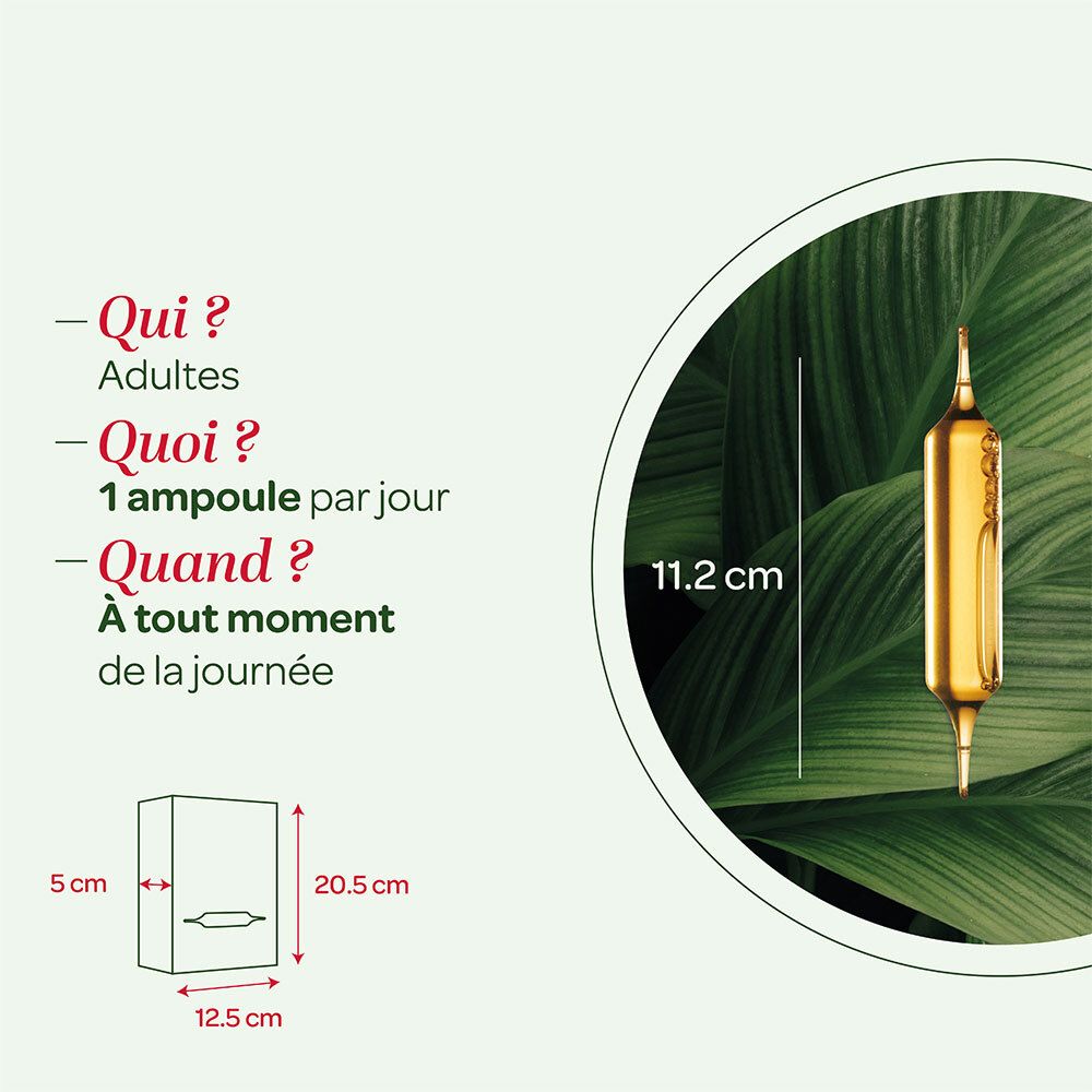 Informations d'utilisation de Super Diet Quatuor Circulation bio. Ampoule, dimensions de l'emballage. Texte.