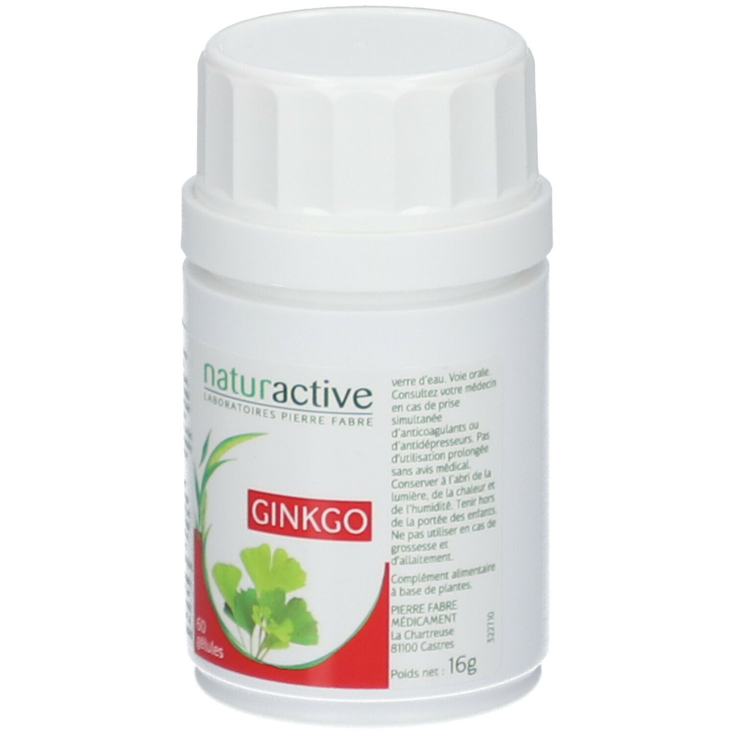 Naturactive Ginkgo