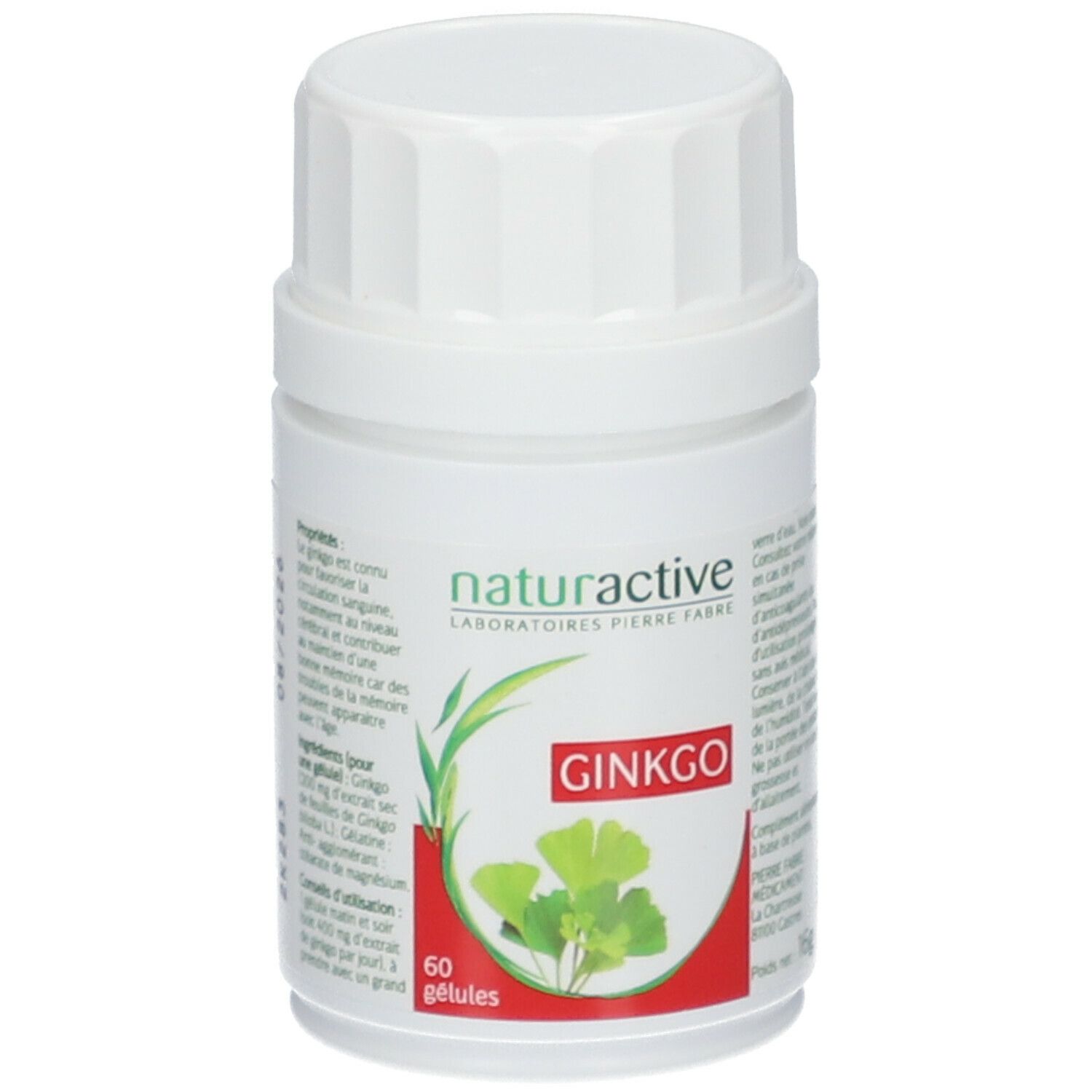 Naturactive Ginkgo