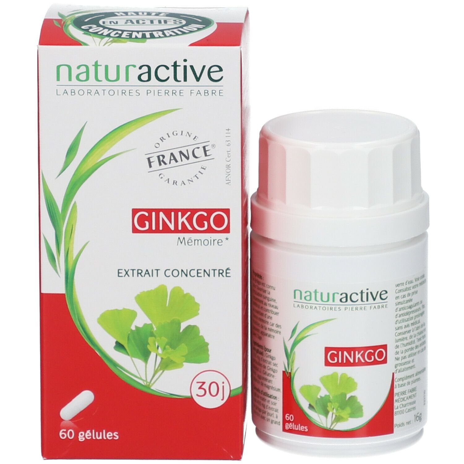 Naturactive Ginkgo