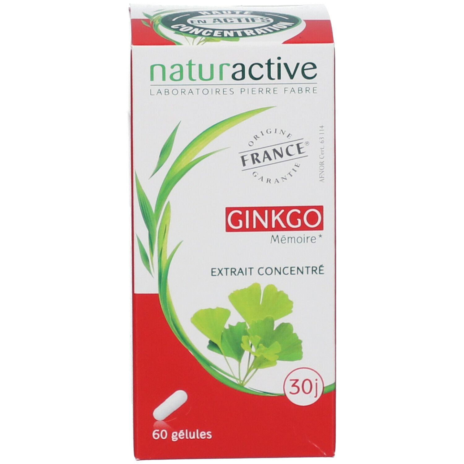Naturactive Ginkgo