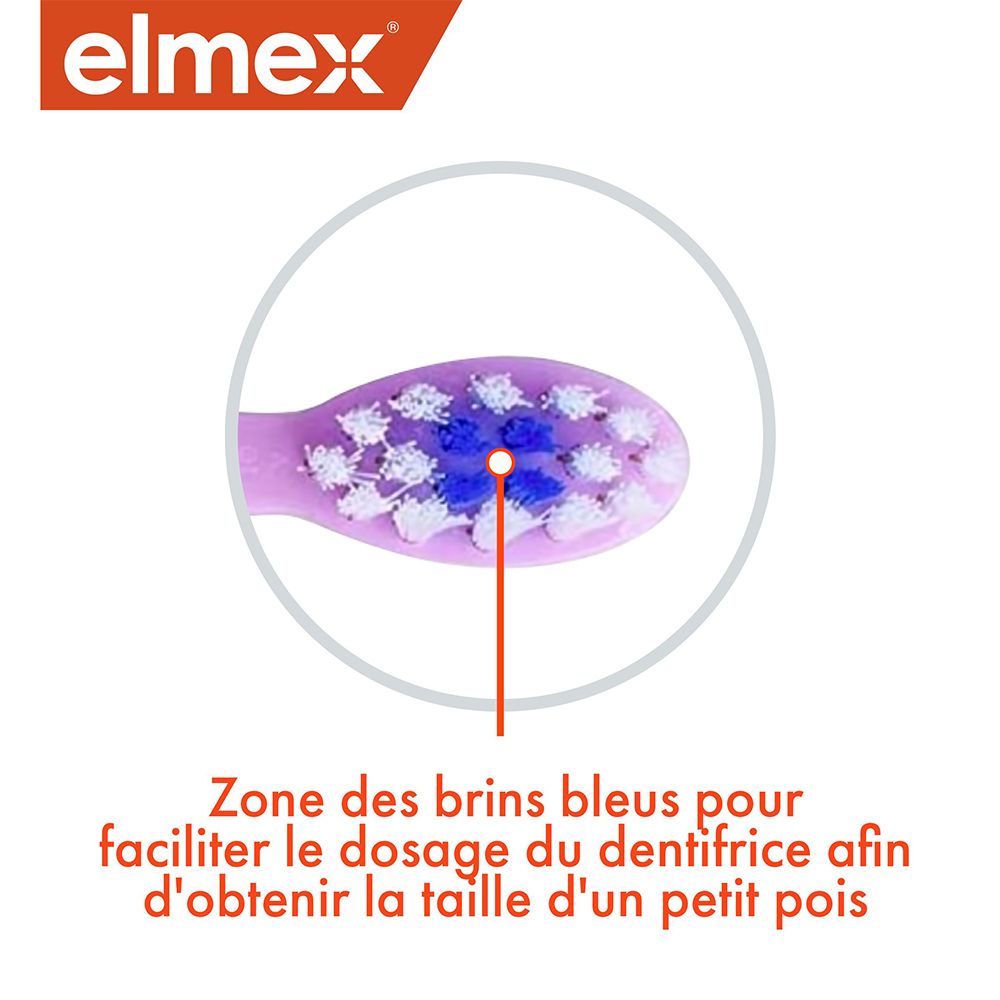 Gros plan de la tête de brosse. Tête violette avec poils bleus au centre. Pour le dosage du dentifrice.