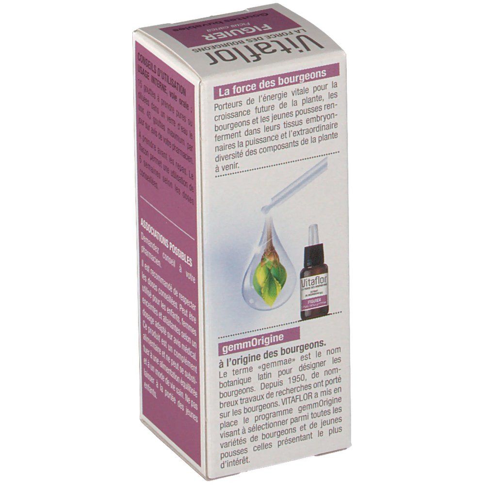 Vitaflor figuier bio