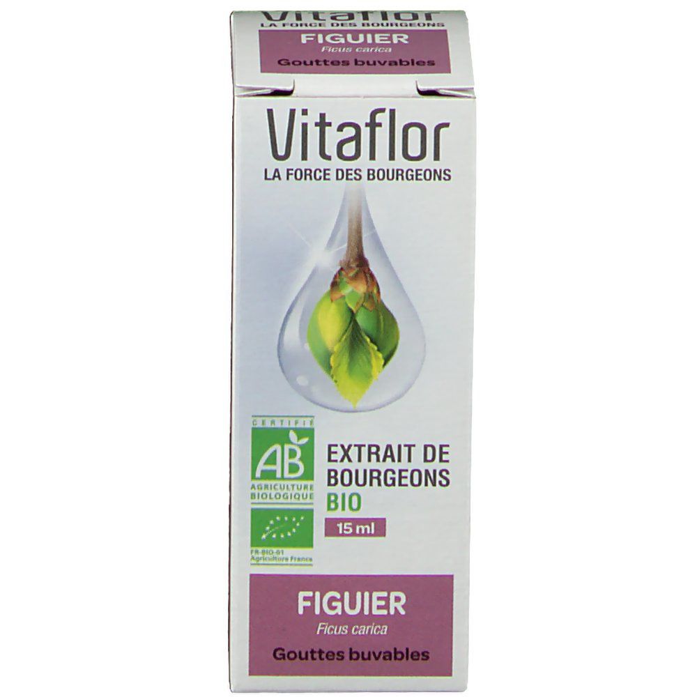 Vitaflor figuier bio