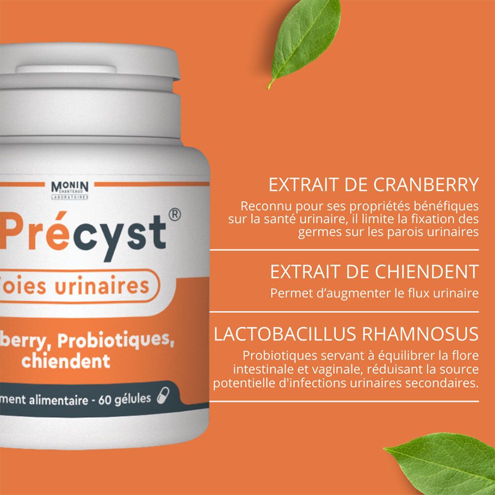 Fond orange avec texte. Précyct, Voies urinaires, Cranberry, Probiotiques, Chiendent. Texte sur Cranberry, Chiendent et Lactobacillus.