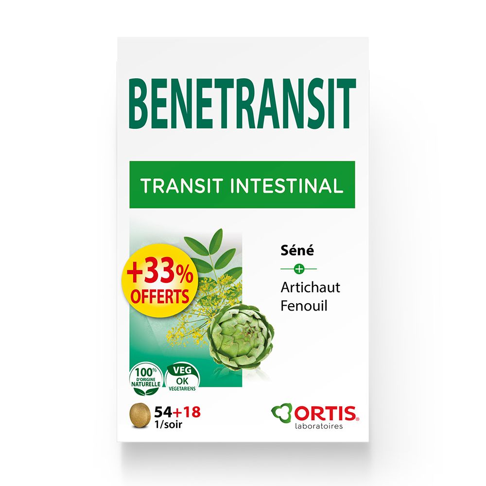 Ortis Benetransit