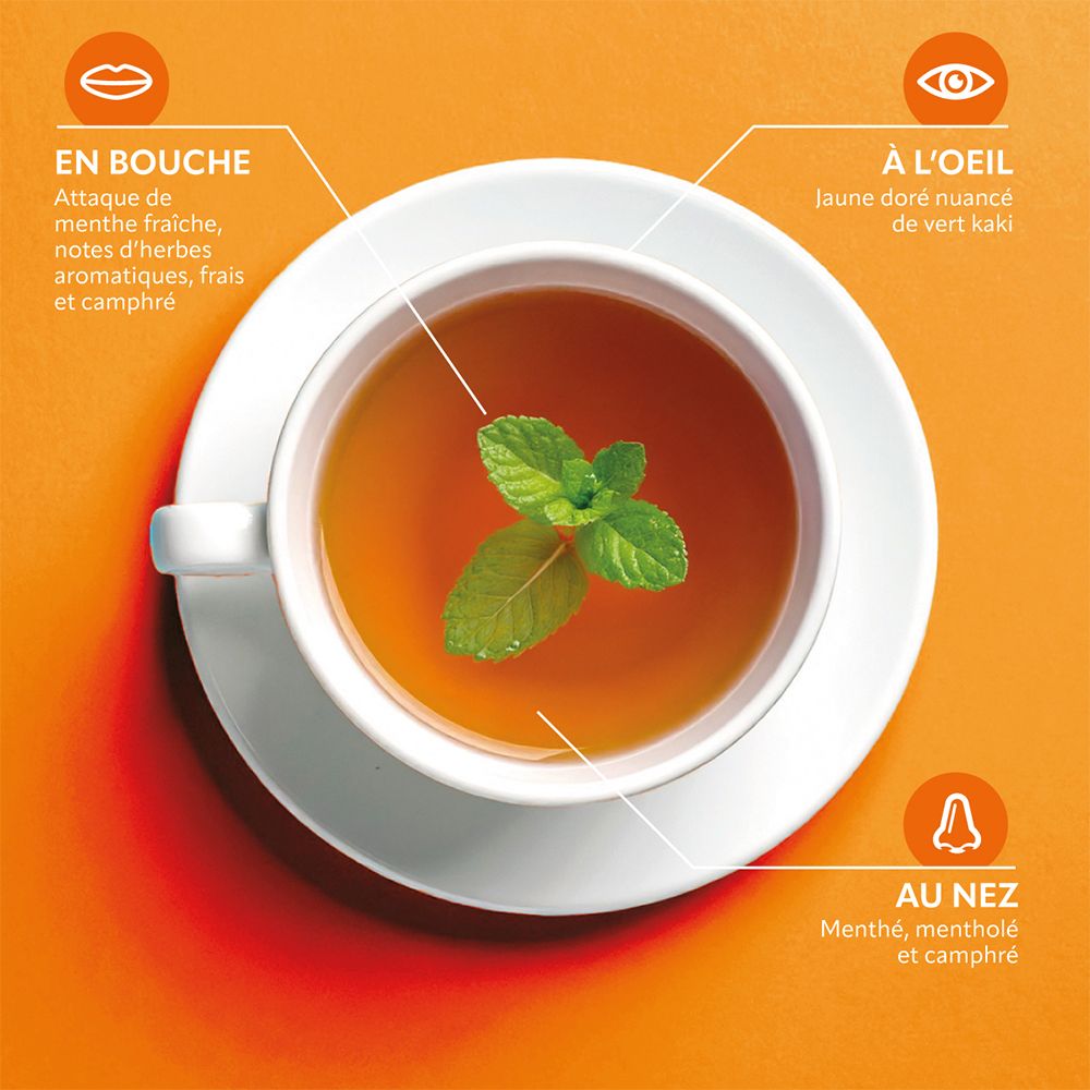 Tasse de thé. Gros plan. Arômes : menthe, frais, aromatique, camphré. Couleur : jaune-vert.