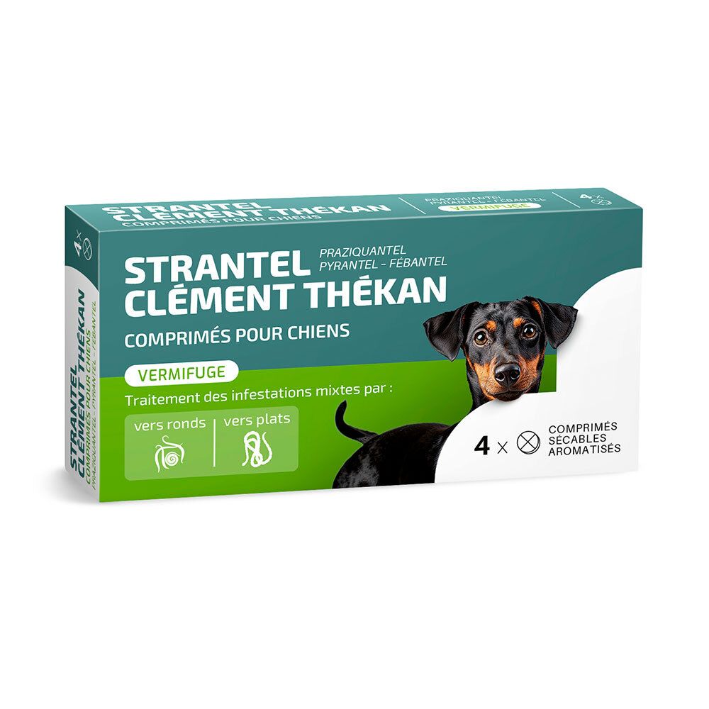 Boîte de comprimés antiparasitaires Strantel Clément Thékan pour chiens, 4 comprimés.