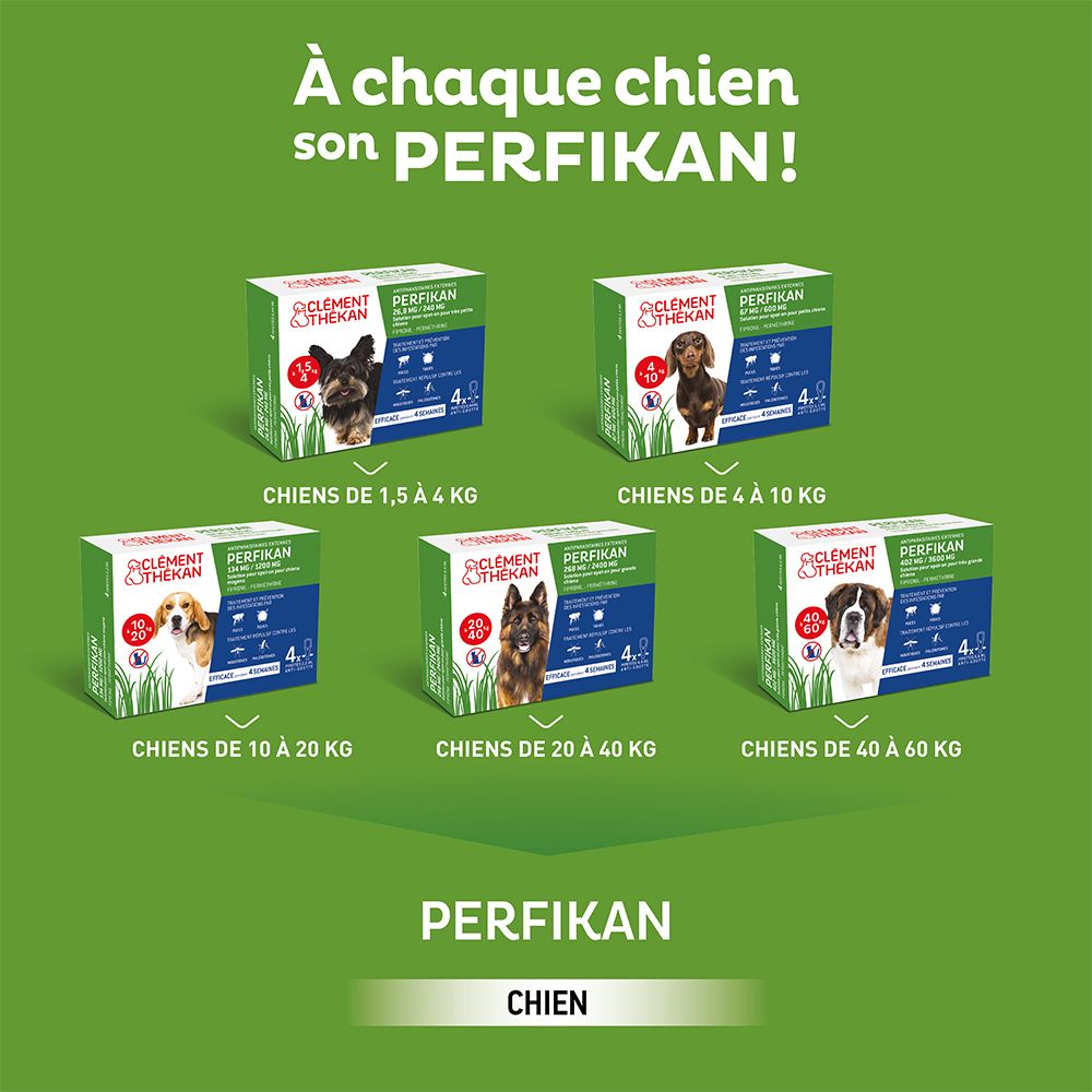Clement Thekan Anti-Puces Anti-Tiques Chien 4-10kg  4 Pipettes