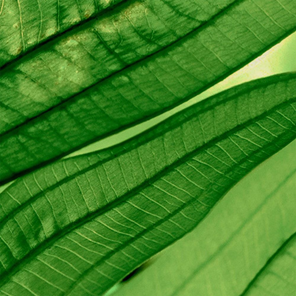 Biotherm Aquasource BB-Cream Clair à Médium