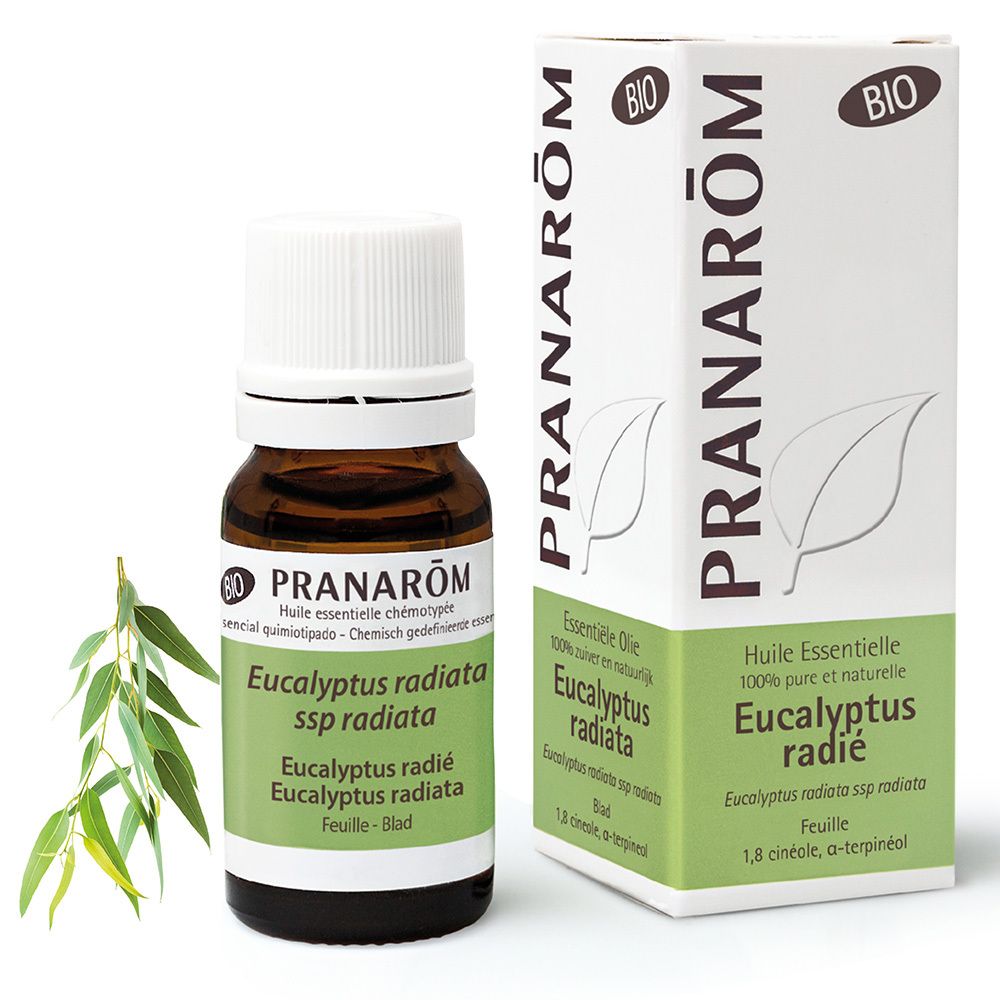 Huile essentielle Bio Eucalyptus radié Pranarom, flacon et boîte.