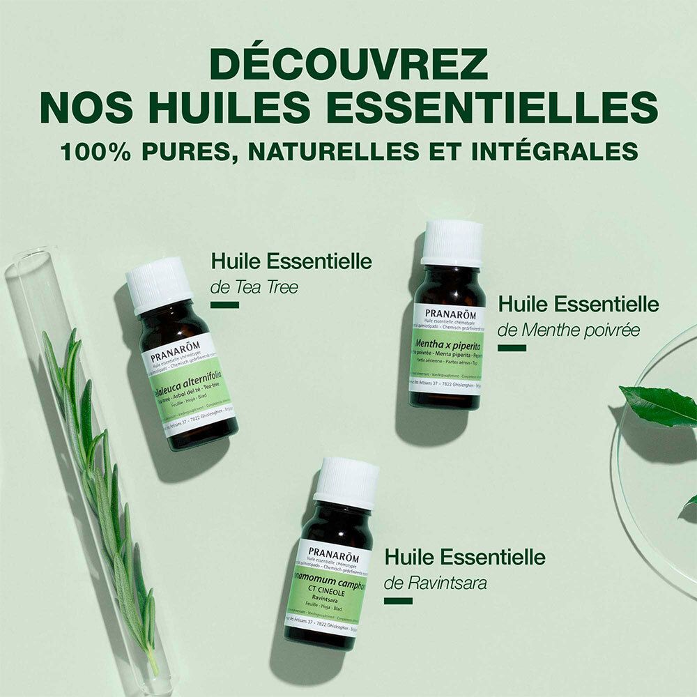 Trois petits flacons. Texte: Huile Essentielle de Tea Tree, de Menthe poivrée, de Ravintsara. Certification BIO.
