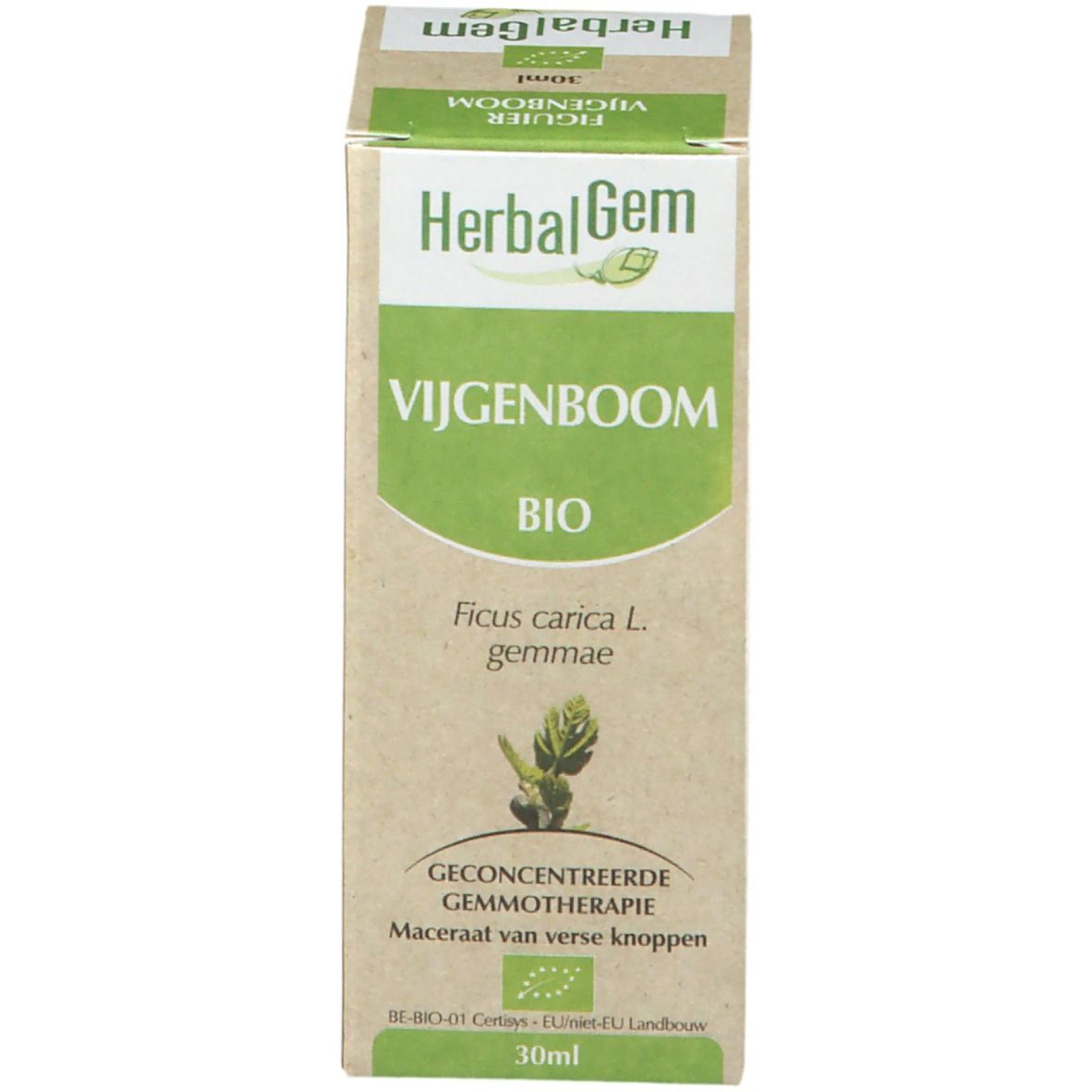 Boîte avec nom du produit et label bio. HerbalGem. 30ml. Illustration du produit.