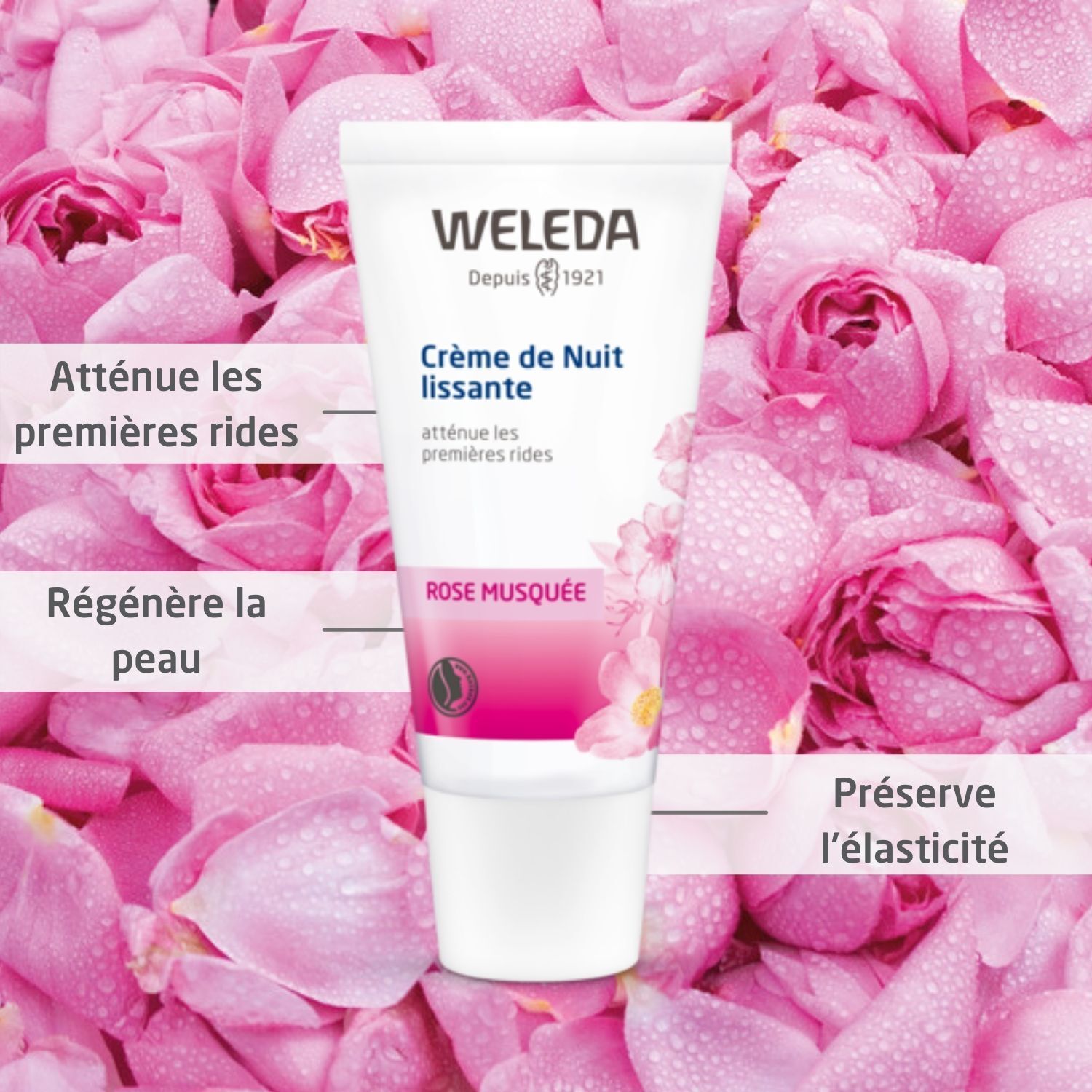 Wlelda Rose Musquée Crème de Nuit lisante