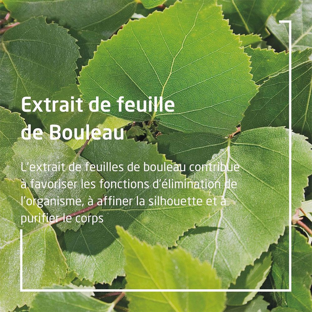 Weleda Bouleau Huile de Massage Minceur