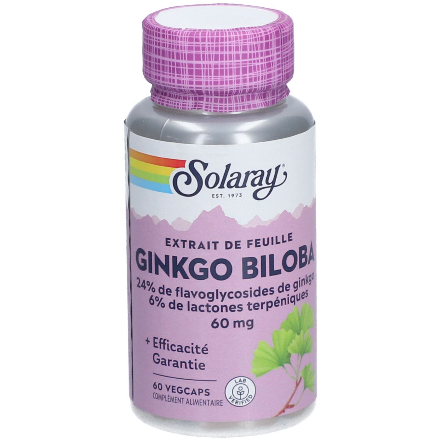 Solaray Extrait de Feuille de Ginkgo Biloba