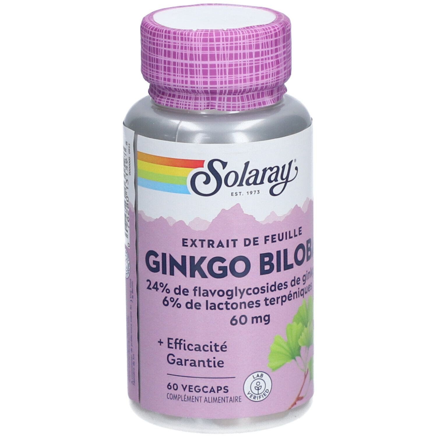 Solaray Extrait de Feuille de Ginkgo Biloba