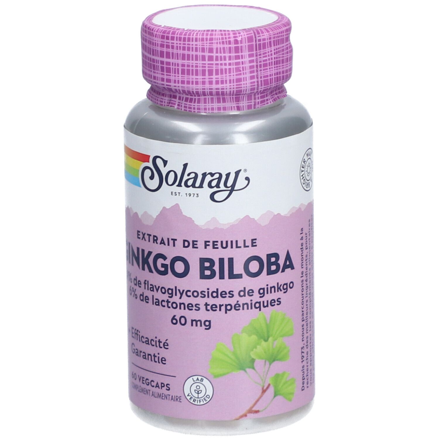 Solaray Extrait de Feuille de Ginkgo Biloba