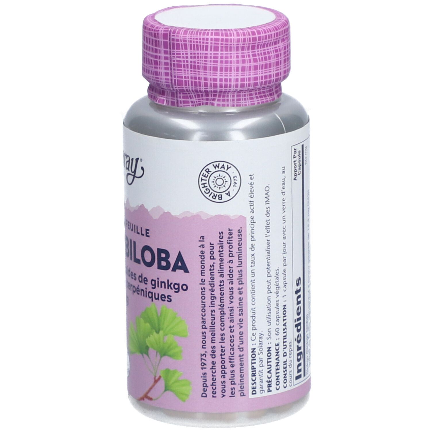 Solaray Extrait de Feuille de Ginkgo Biloba