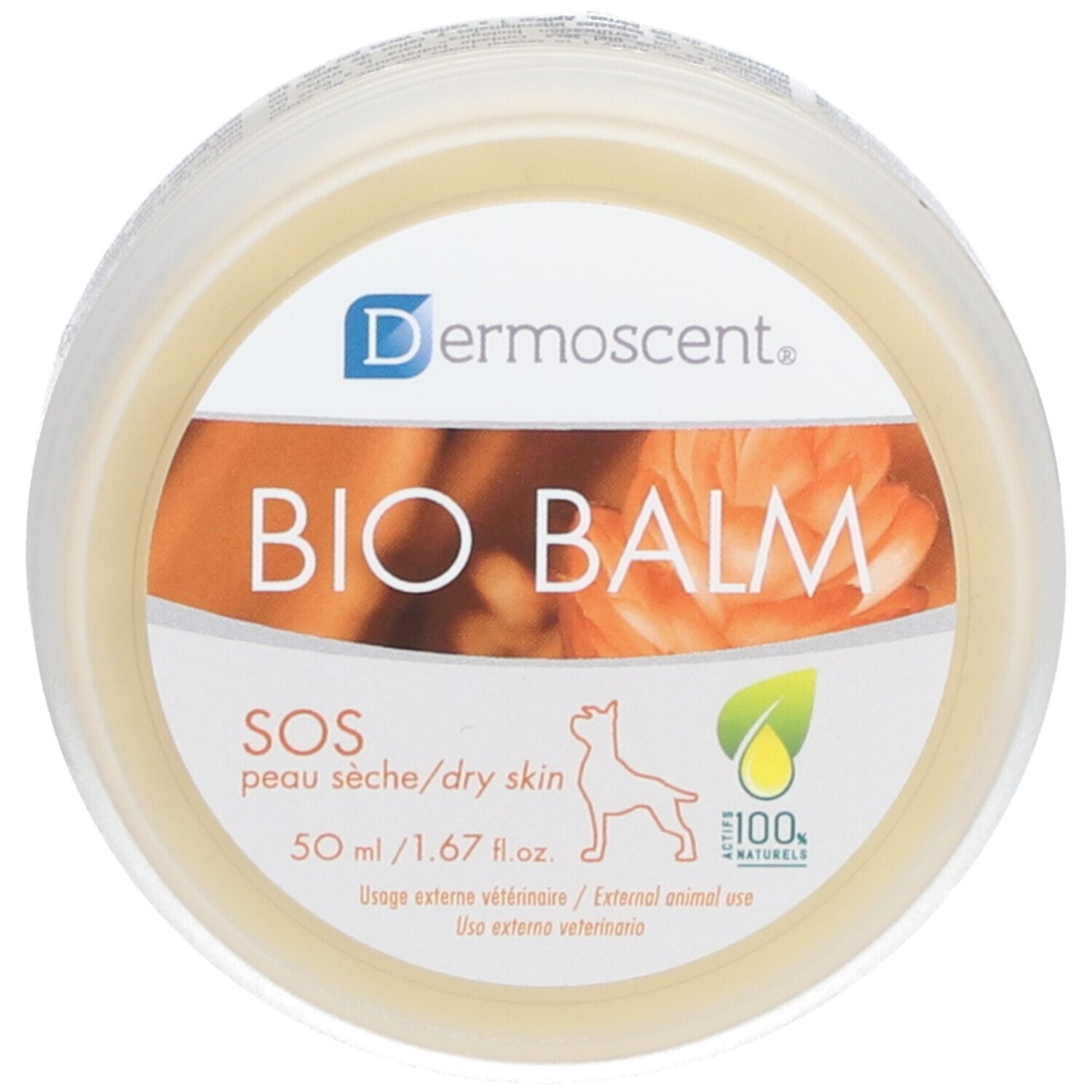 Pot rond avec inscription BIO BALM et logo Dermoscent. Étiquette avec informations et un chien.