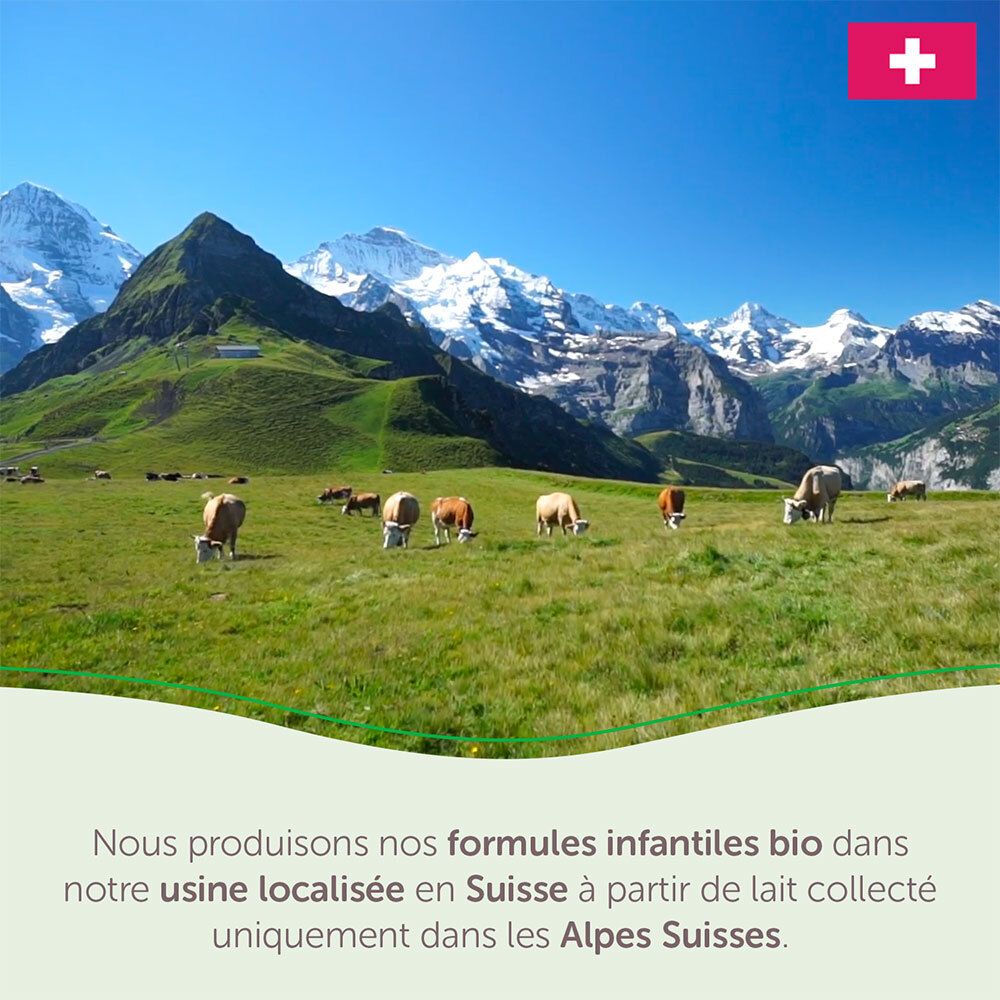Paysage avec vaches et montagnes. Drapeau suisse. Texte : Production de formules infantiles bio en Suisse.
