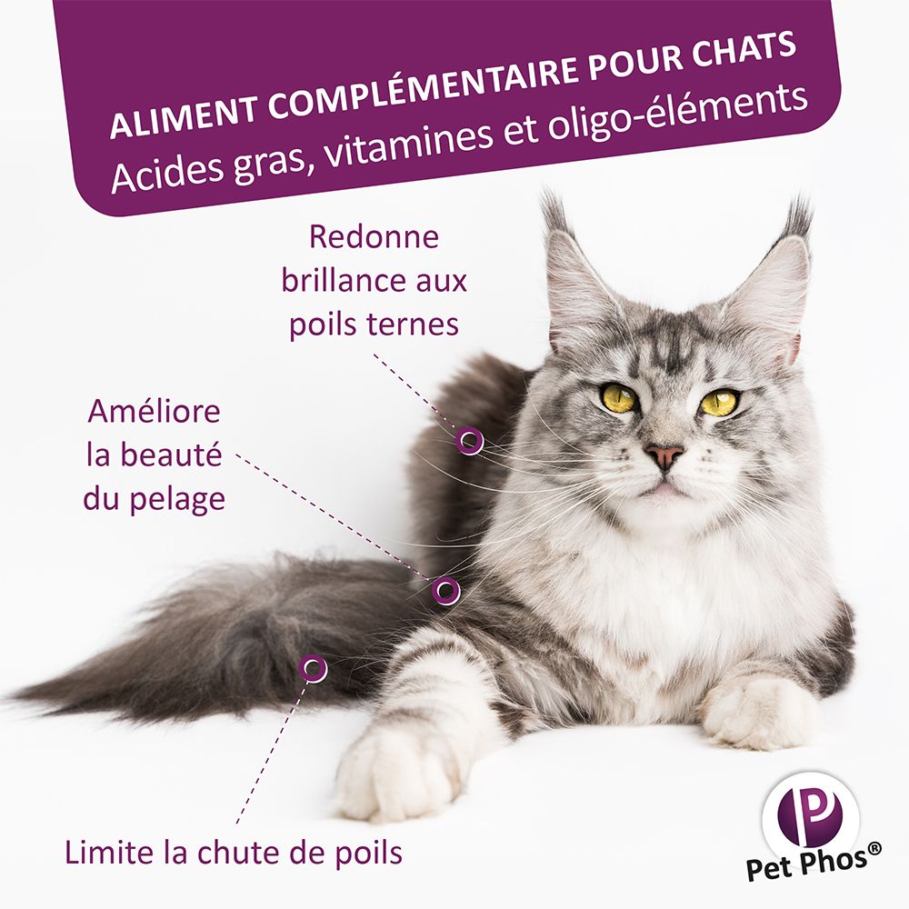 Chat avec texte: améliore le pelage, réduit la chute des poils, redonne de la brillance. Logo Pet Phos.