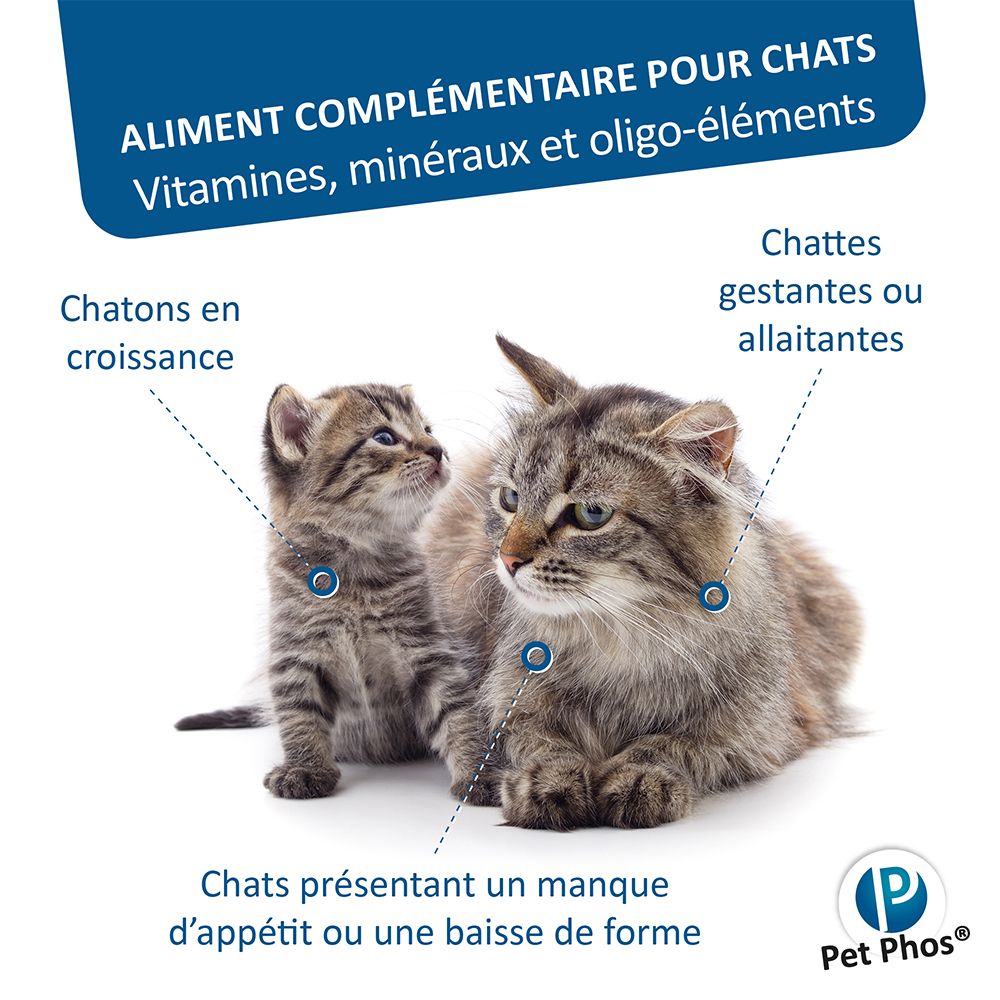 Complément alimentaire pour chats. Chatons, chattes gestantes ou allaitantes. Manque d'appétit.