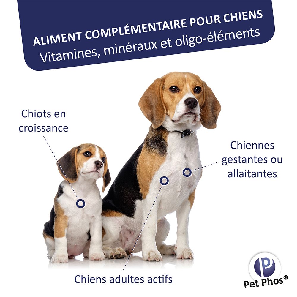 Graphique avec chiens. Texte: Aliment complémentaire pour chiens. Vitamines, minéraux et oligo-éléments. Logo Pet Phos®.