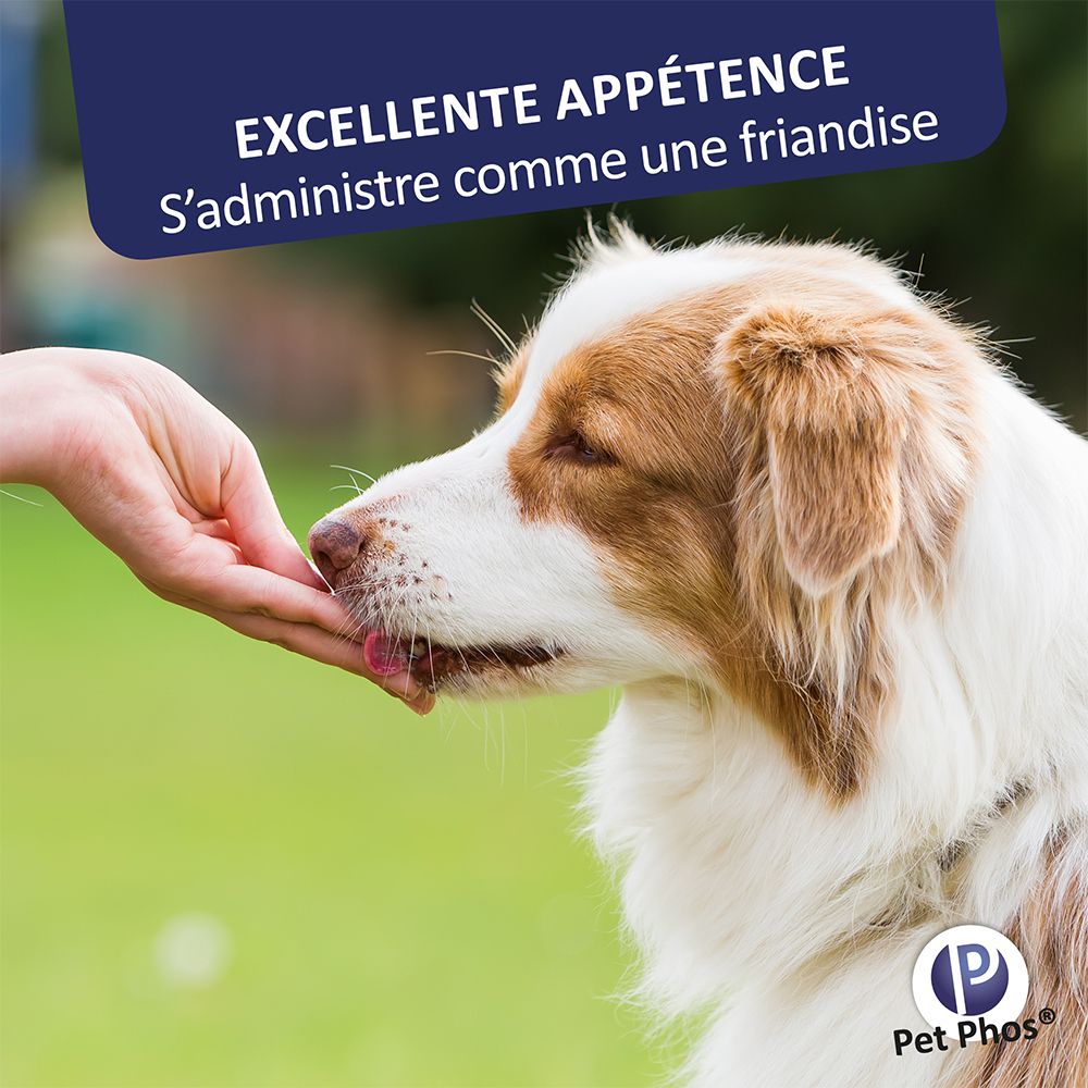 Main donnant un comprimé à un chien. Texte: Excellente appétence. S'administre comme une friandise. Logo Pet Phos®.