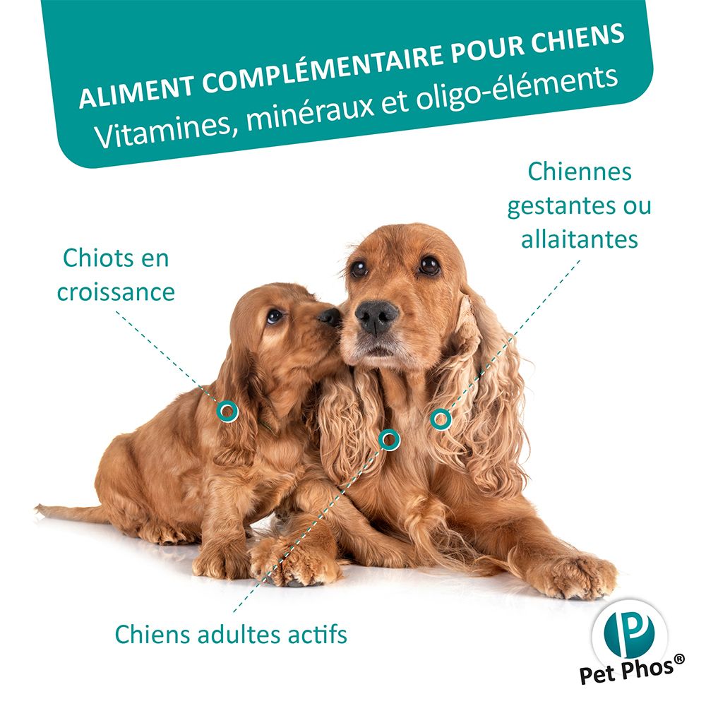 Deux chiens, mère et chiot, avec des indicateurs pour différentes étapes de vie. Pet Phos.