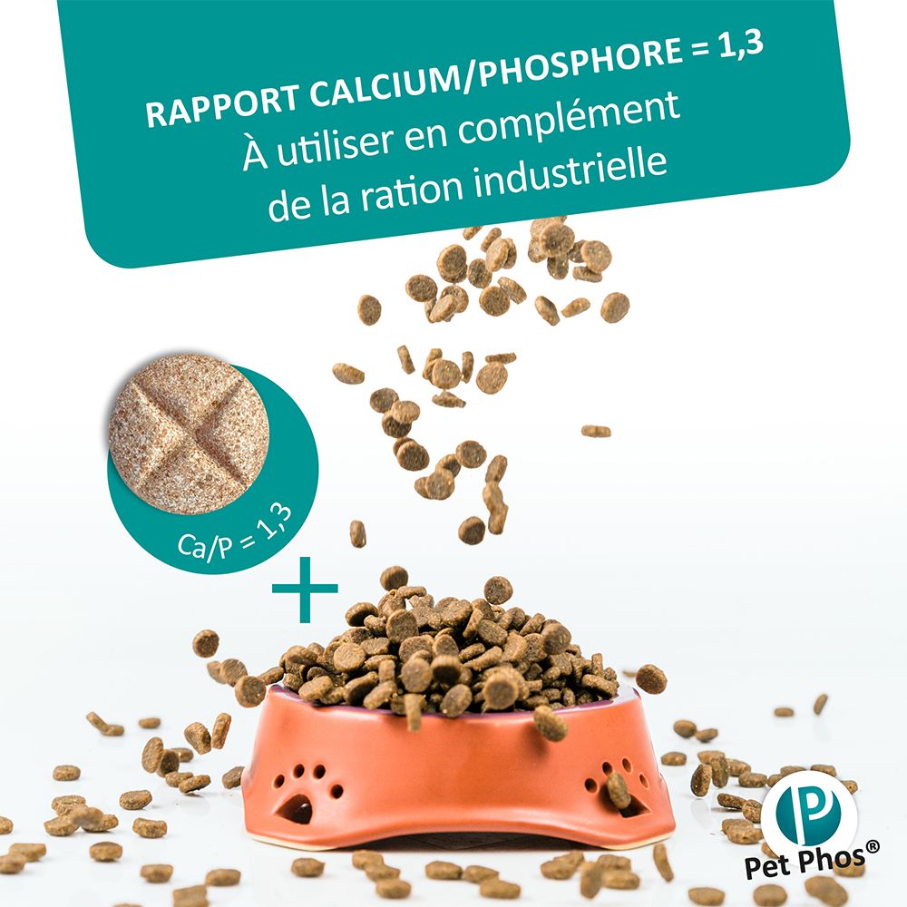 Croquettes dans un bol. Comprimé avec Ca/P=1,3. Texte: Rapport Calcium/Phosphore = 1,3. Logo Pet Phos.