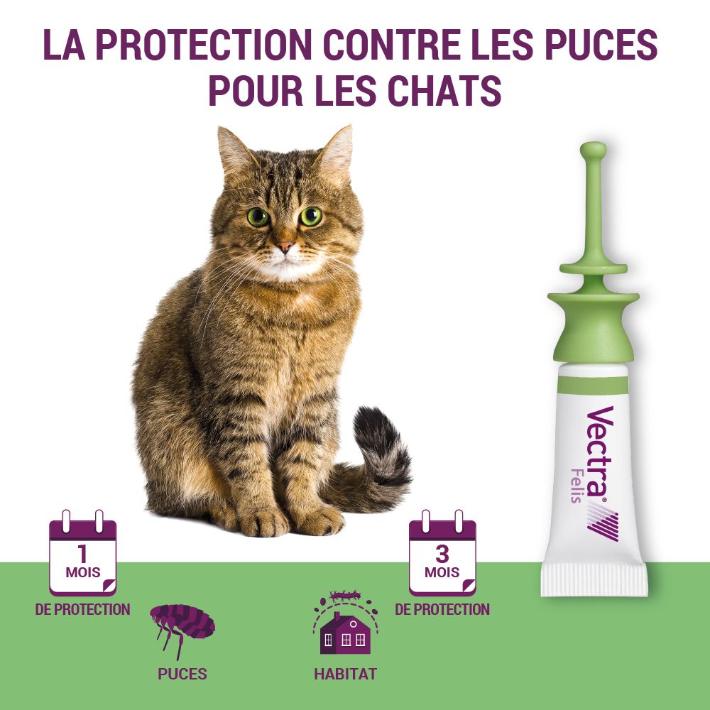 Chat à côté d'une pipette. 1 mois de protection contre les puces. 3 mois de protection de l'habitat.