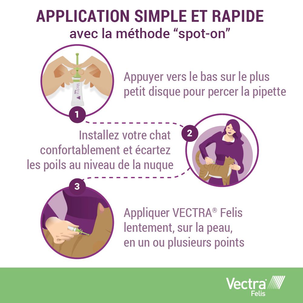 Illustration de la méthode spot-on. 3 étapes. Logo Vectra Felis.