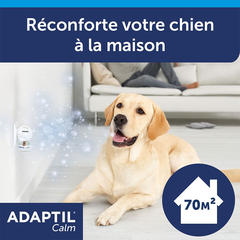 Diffuseur Adaptil Calm en fonctionnement. Chien détendu. Surface : 70m². Réconforte les chiens à la maison.