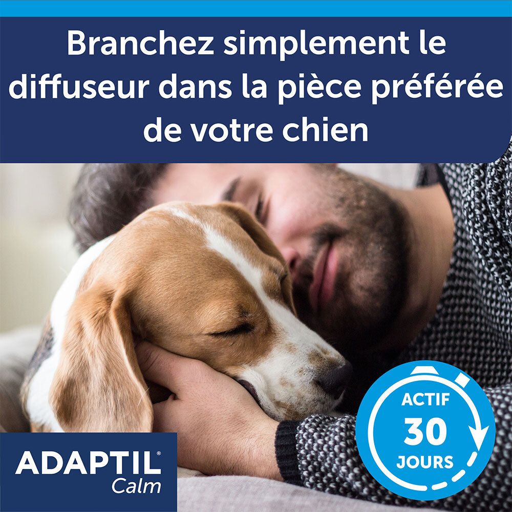Adaptil Calm : branchez simplement le diffuseur dans la pièce préférée du chien.
