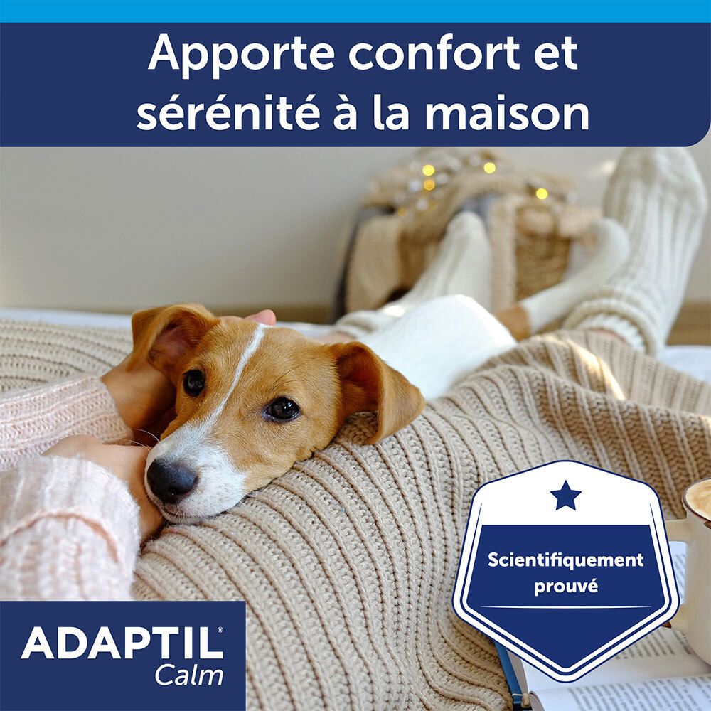 Adaptil Calm : apporte confort et sérénité à la maison.