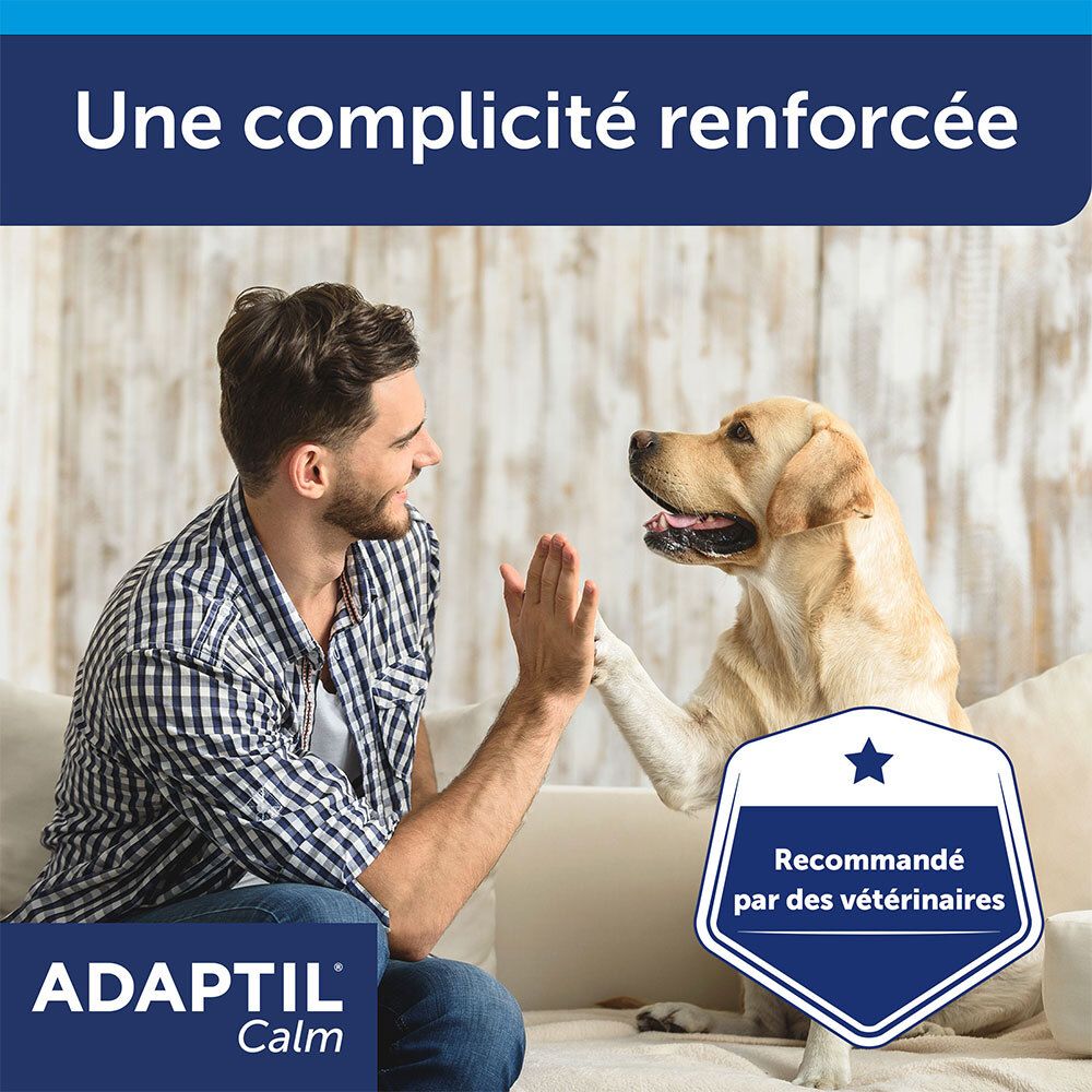 Adaptil Calm : recommandé par les vétérinaires, pour une complicité renforcée.
