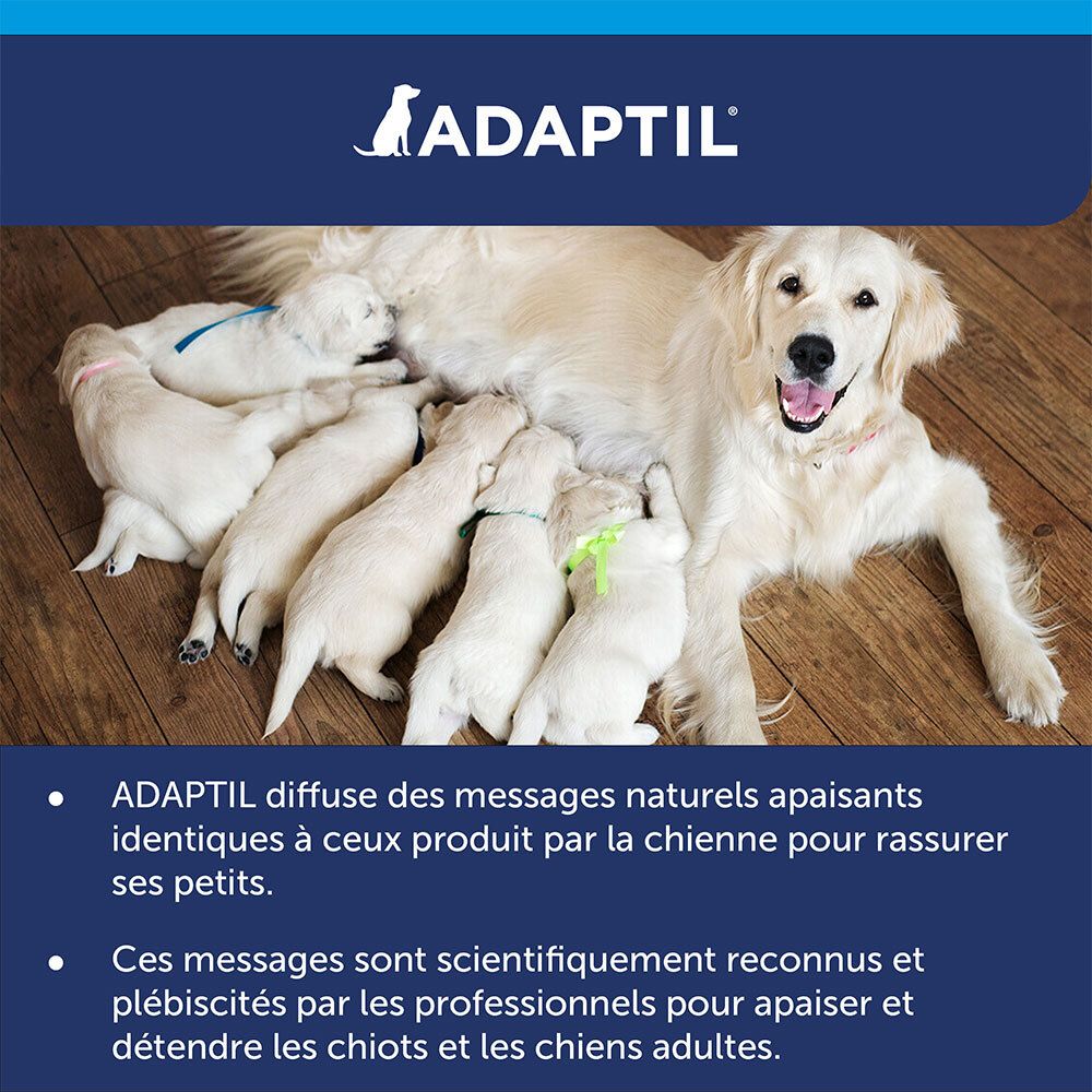 Emballage Adaptil Calm. Informations au dos. Scientifiquement prouvé. Pour chiens en situations stressantes.