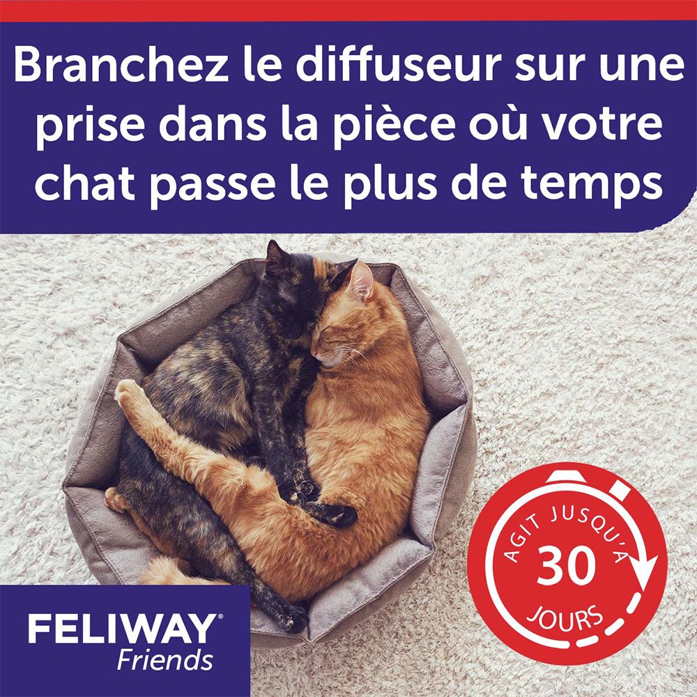 Feliway® Friends Chats Heureux Diffuseur Starter Kit 1 pc(s) - Redcare  Pharmacie