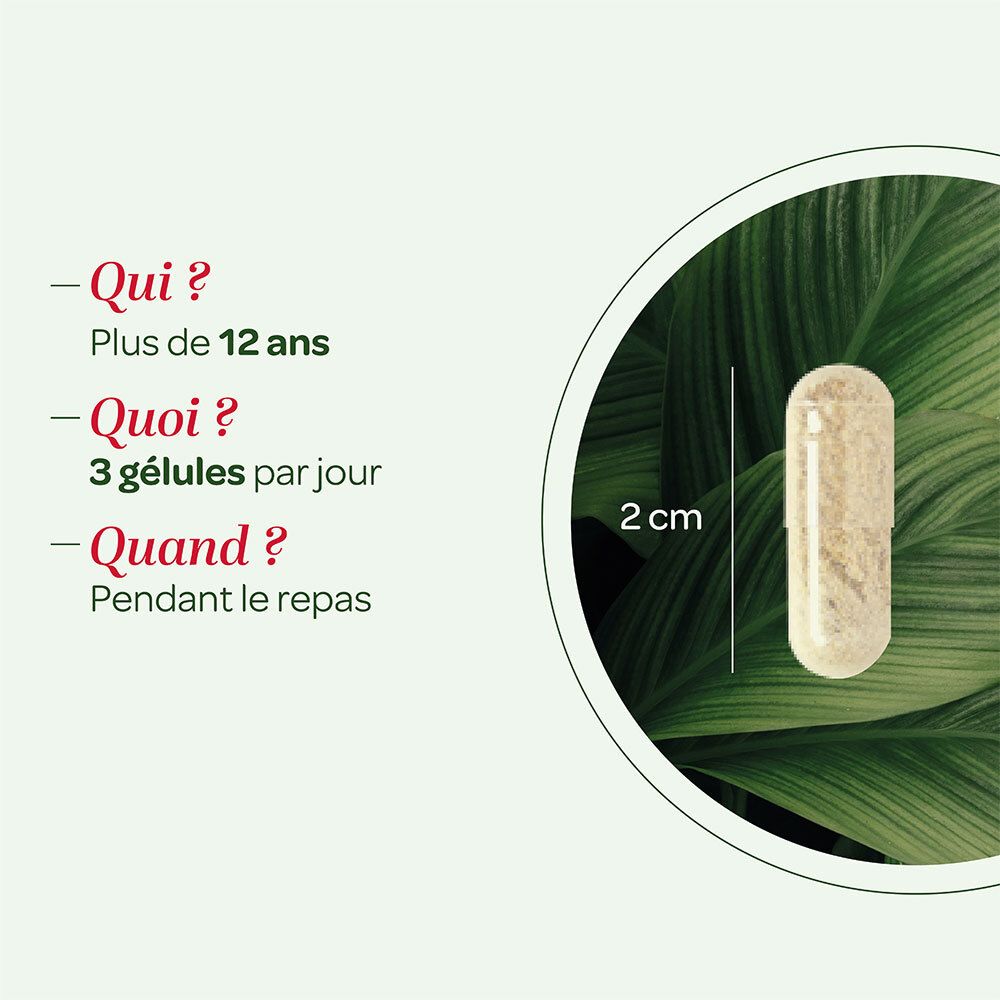 SUPER DIET Gélule. Gélule, 2 cm de long. Informations : +12 ans, 3 gélules/jour, pendant les repas.
