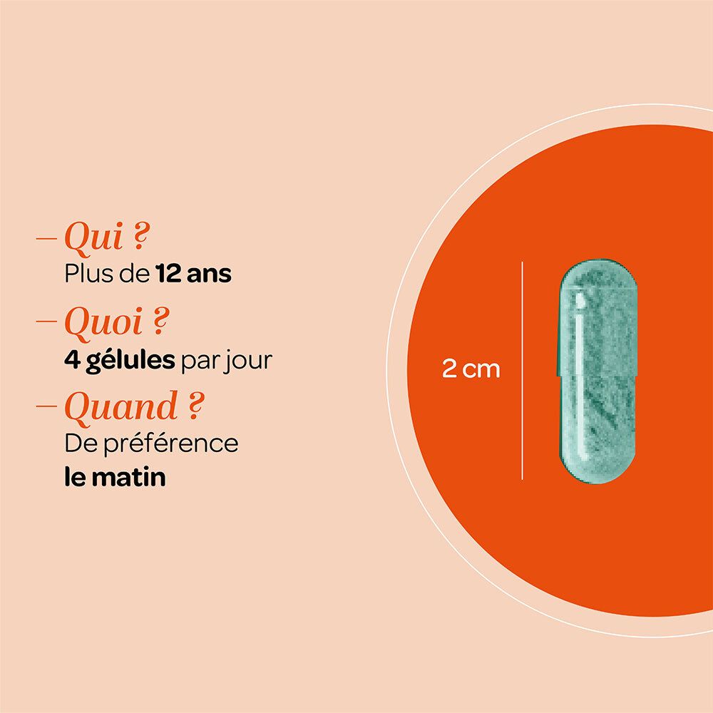Gélule, 2 cm de long. Texte : Pour qui ? Plus de 12 ans. Quoi ? 4 gélules par jour. Quand ? De préférence le matin.
