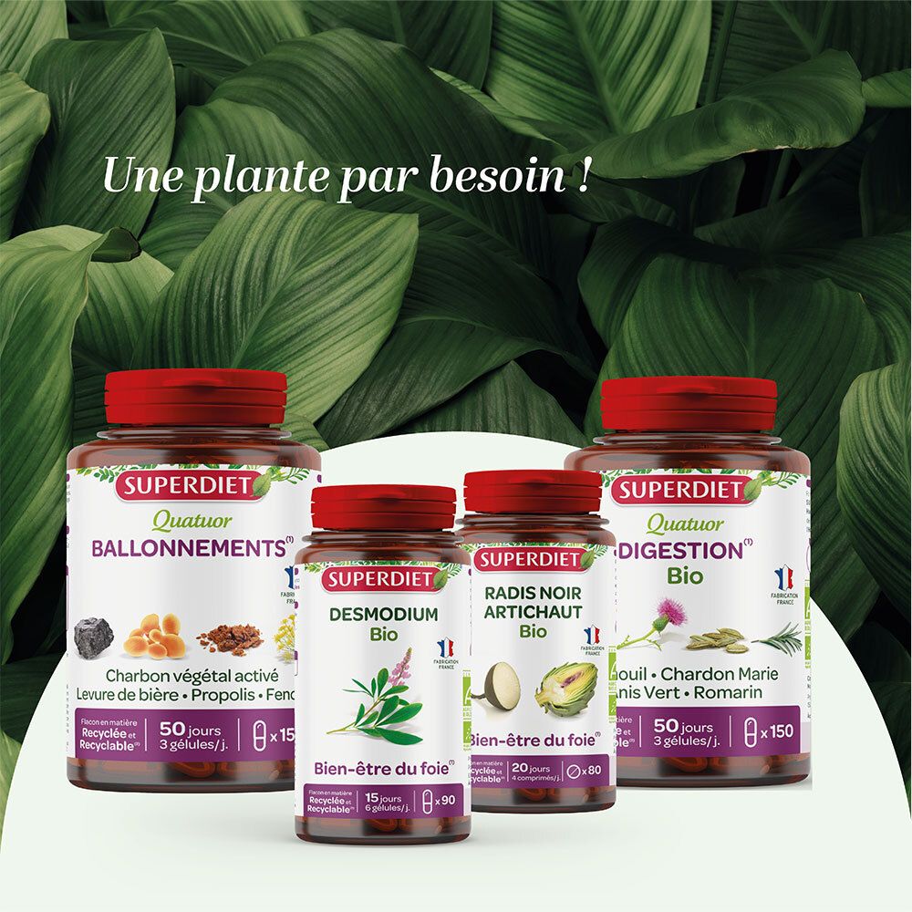 SUPERDIET Radis Noir - Artichaut Bio