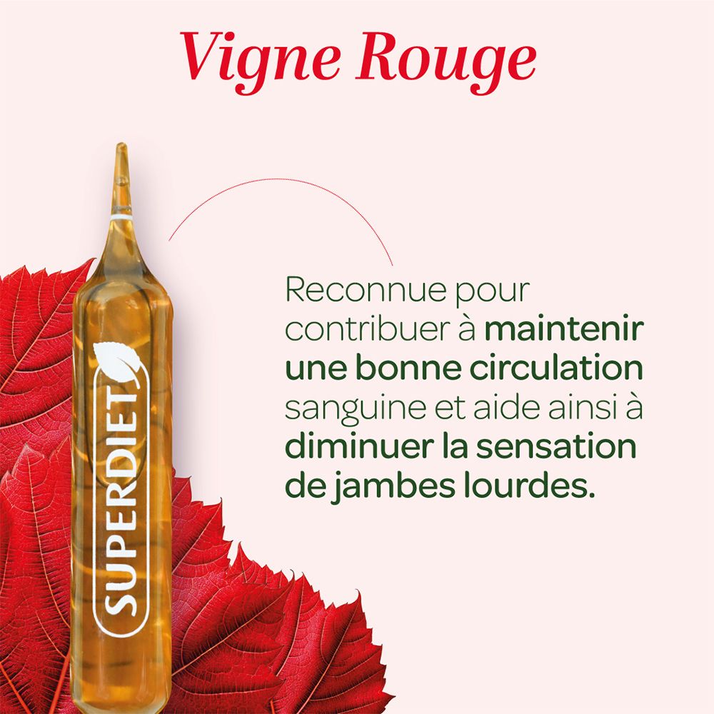 Gros plan sur une ampoule VIGNE ROUGE BIO. Texte: Contribue à maintenir une bonne circulation sanguine et aide les jambes lourdes.